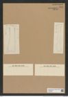 Hemiaulus longicornis Grev. (de-Toni-Nr.: Genus 117, Species 3350) Zeichnungen Sammlung Grunow Nr. 6758 (NHMW-BOT-W0375585)